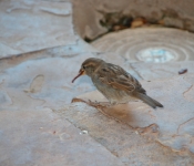 dscn0013