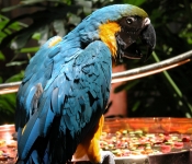 dscn0043