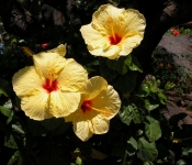 dscn0144