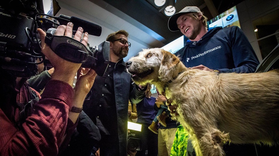 Stray dog follows adventure race team for 430 miles through the Amazon