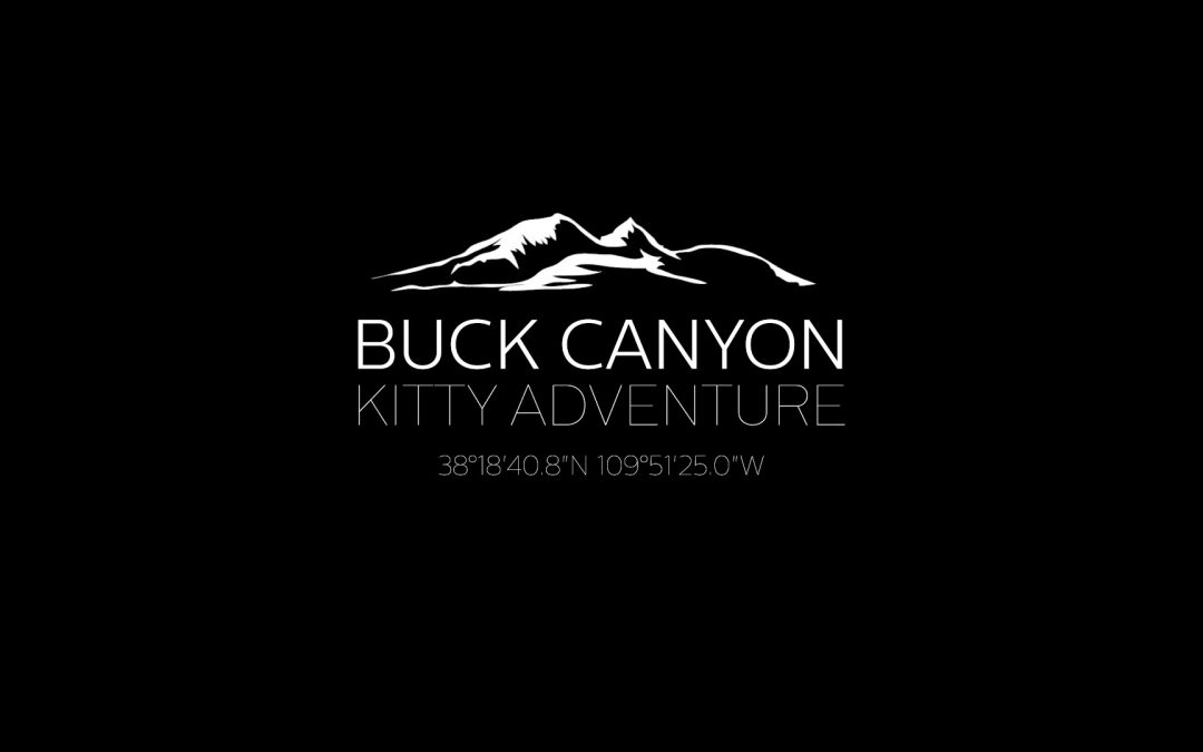 Buck Canyon Kitty Adventure – YouTube