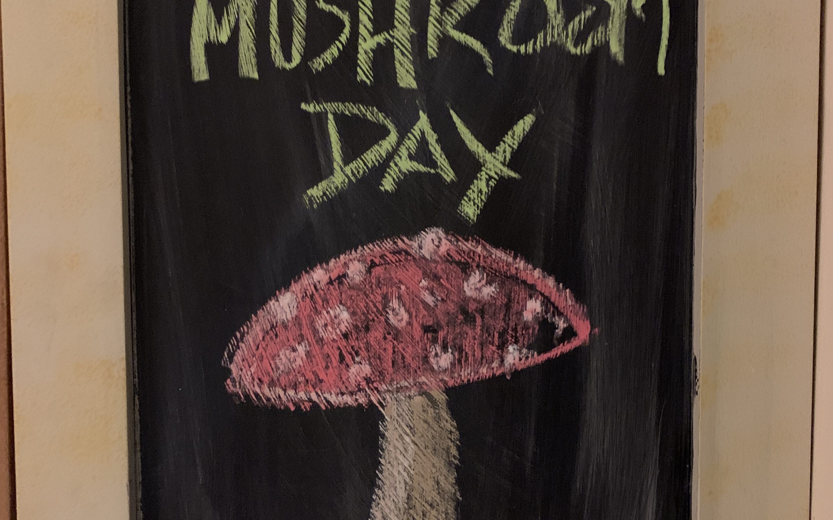National mushroom day